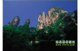 網(wǎng)絡(luò)熱門(mén)純玩游：張家界、天子山、袁家界、楊家界 自助三日游