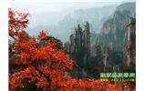 春節(jié)期間：張家界、天子山、金鞭溪自駕車精華精品游