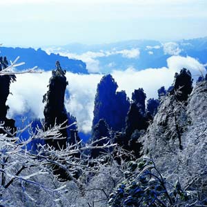 LD線：張家界、天子山、楊家界、猛洞河漂流純玩四日游