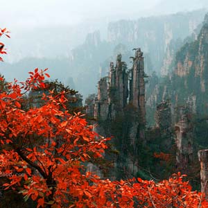 休閑自駕E線：張家界、袁家界、天子山、寶峰湖、鳳凰古城、沱江泛舟四晚五日游