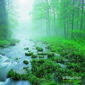【純玩散拼尊享系列3】張家界、天子山、袁家界、黃龍洞、鳳凰三晚四日游