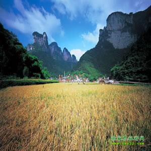 張家界往返純玩散拼：矮寨大橋、德夯苗寨、鳳凰古城、芙蓉鎮(zhèn)二日游