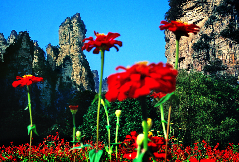 LF線：張家界國(guó)家森林公園、猛洞河漂流、鳳凰古城純玩自助五日游